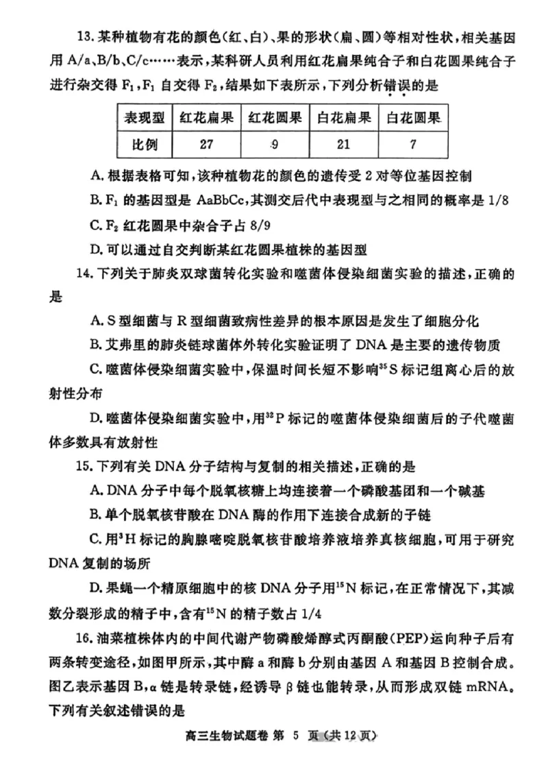 生物-2024届河南省郑州市高三上学期一模考试_2024届河南省郑州市高三上学期一模考试