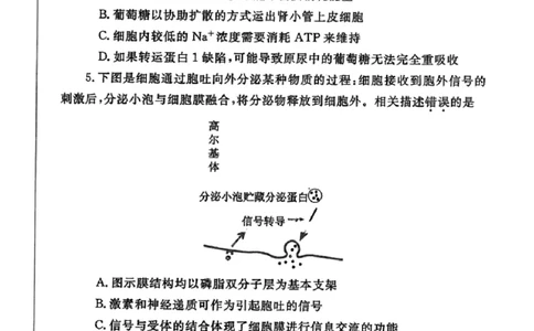 生物-2024届河南省郑州市高三上学期一模考试_2024届河南省郑州市高三上学期一模考试