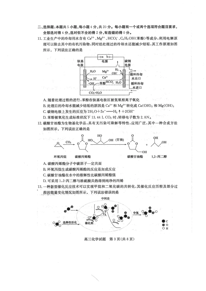 山东省枣庄市2023-2024学年高三上学期1月期末质量检测化学试题_2024届山东省枣庄市高三上学期1月期末质量检测_山东省枣庄市2024届高三上学期1月期末质量检测化学