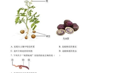 精品解析：2023年四川省凉山彝族自治州中考生物真题（原卷版）_中考真题_8.生物中考真题2015-2024年_2023年全国中考生物7.20_精品解析：2023年四川省凉山彝族自治州中考生物真题
