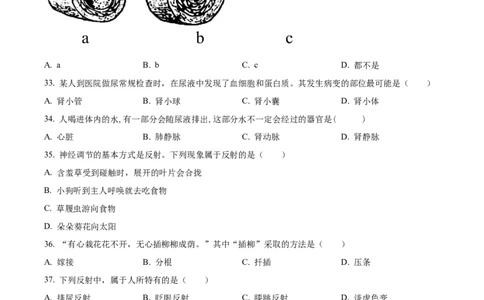 精品解析：2023年黑龙江龙东地区中考生物真题（原卷版）_中考真题_8.生物中考真题2015-2024年_2023年全国中考生物7.20_精品解析：2023年黑龙江龙东地区中考生物真题