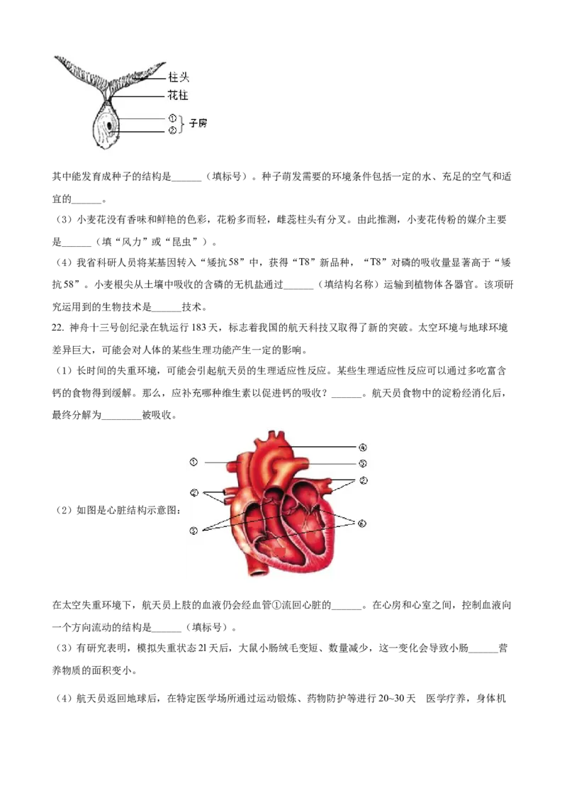 精品解析：2022年河南省中考生物真题（原卷版）_中考真题_8.生物中考真题2015-2024年_2022年全国中考生物114份14