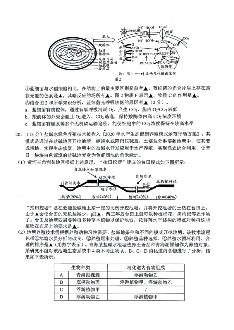 生物_2024届江苏省扬州市高三上学期1月期末考试_江苏省扬州市2024届高三上学期1月期末考试生物