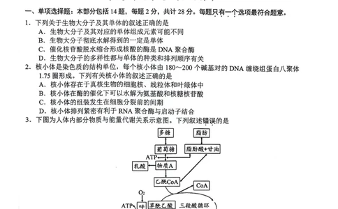 生物_2024届江苏省扬州市高三上学期1月期末考试_江苏省扬州市2024届高三上学期1月期末考试生物