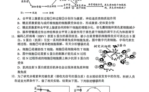 生物_2024届江苏省扬州市高三上学期1月期末考试_江苏省扬州市2024届高三上学期1月期末考试生物
