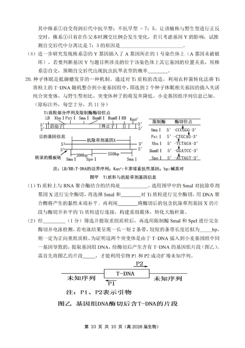 重庆市名校联盟2025-2026学年度高三上学期第一次联合考试生物_251103重庆市名校联盟2025-2026学年高三上学期第一次联合考试（全科）