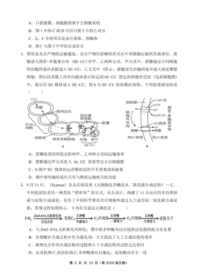 重庆市名校联盟2025-2026学年度高三上学期第一次联合考试生物_251103重庆市名校联盟2025-2026学年高三上学期第一次联合考试（全科）