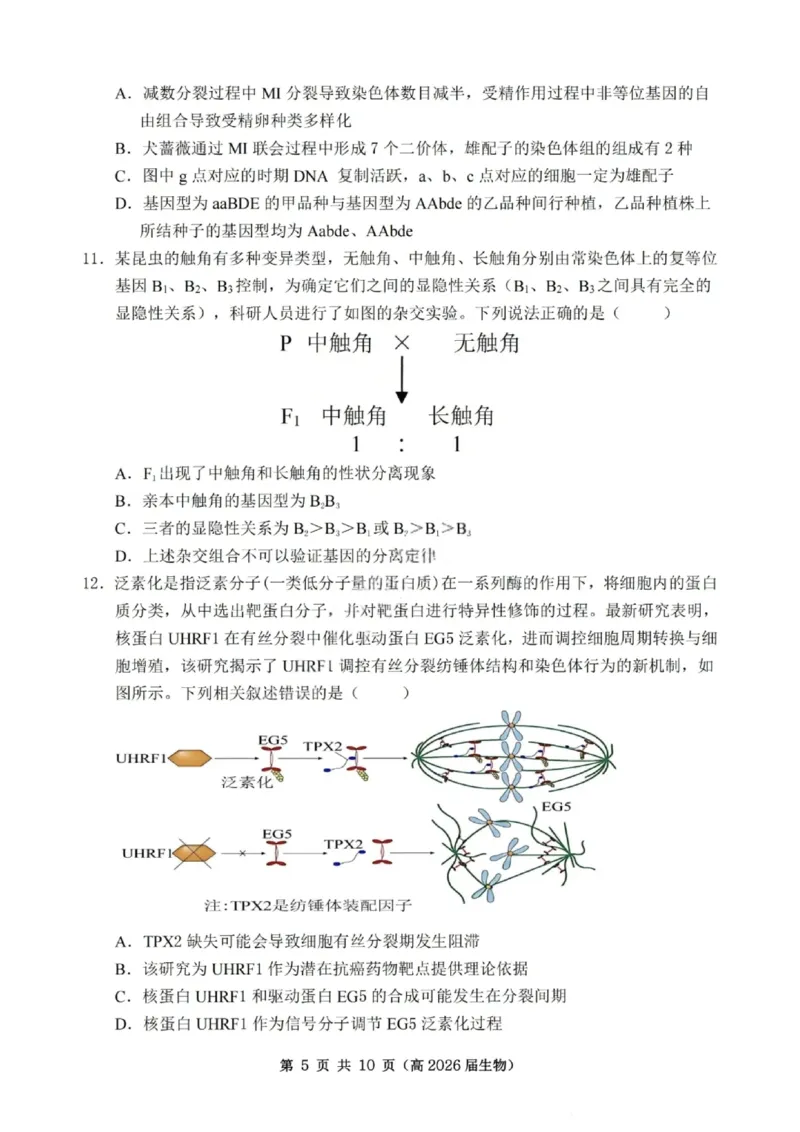 重庆市名校联盟2025-2026学年度高三上学期第一次联合考试生物_251103重庆市名校联盟2025-2026学年高三上学期第一次联合考试（全科）