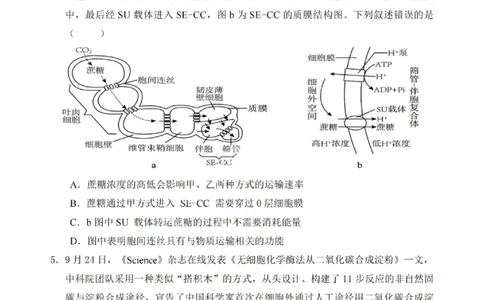 重庆市名校联盟2025-2026学年度高三上学期第一次联合考试生物_251103重庆市名校联盟2025-2026学年高三上学期第一次联合考试（全科）