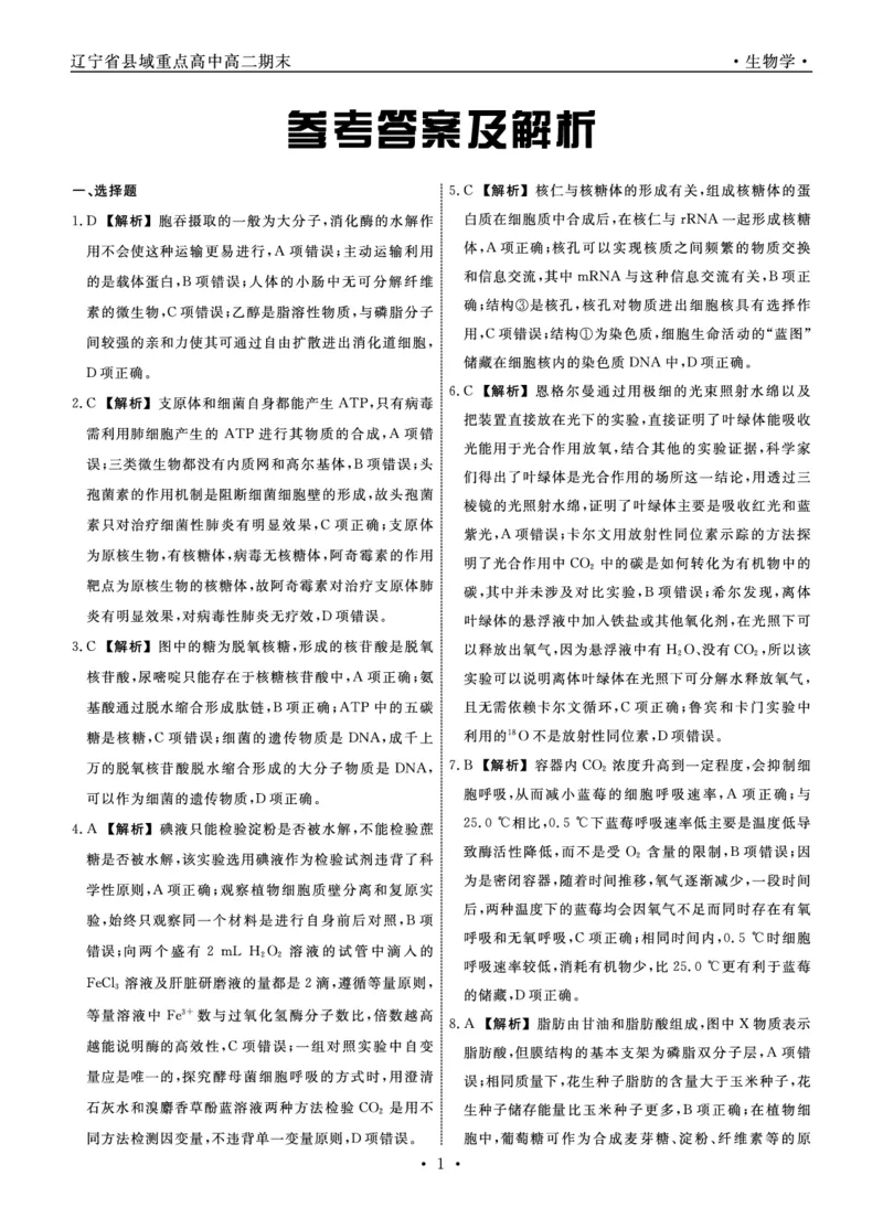 生物辽宁县域2024&mdash;2025学年度高二下学期期末考试答案_2025年7月_250725衡中同卷&middot;辽宁省县域重点高中2024-2025学年度高二下学期期末考试（全科）