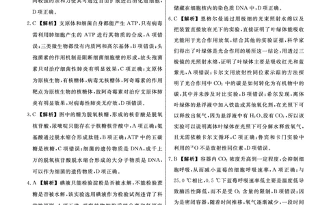 生物辽宁县域2024&mdash;2025学年度高二下学期期末考试答案_2025年7月_250725衡中同卷&middot;辽宁省县域重点高中2024-2025学年度高二下学期期末考试（全科）