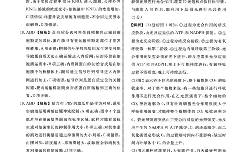 生物辽宁县域2024&mdash;2025学年度高二下学期期末考试答案_2025年7月_250725衡中同卷&middot;辽宁省县域重点高中2024-2025学年度高二下学期期末考试（全科）