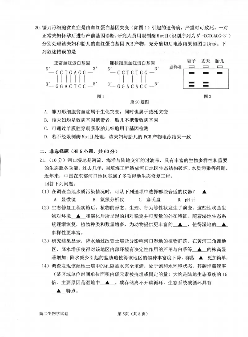 生物卷-2506衢州高二期末_2025年6月_250620浙江省衢州市2024-2025学年高二下学期6月教学质量检测（全科）_浙江省衢州市2024-2025学年高二下学期6月教学质量检测生物