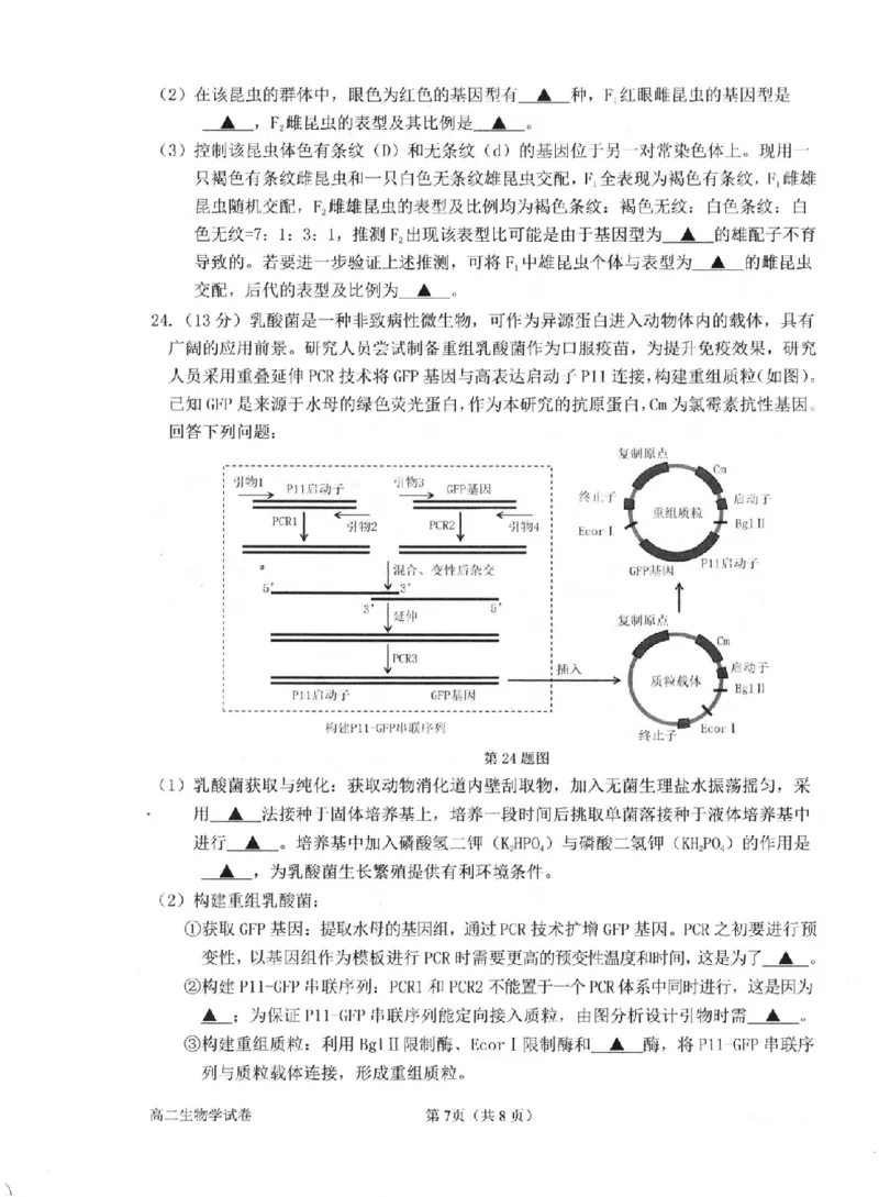 生物卷-2506衢州高二期末_2025年6月_250620浙江省衢州市2024-2025学年高二下学期6月教学质量检测（全科）_浙江省衢州市2024-2025学年高二下学期6月教学质量检测生物