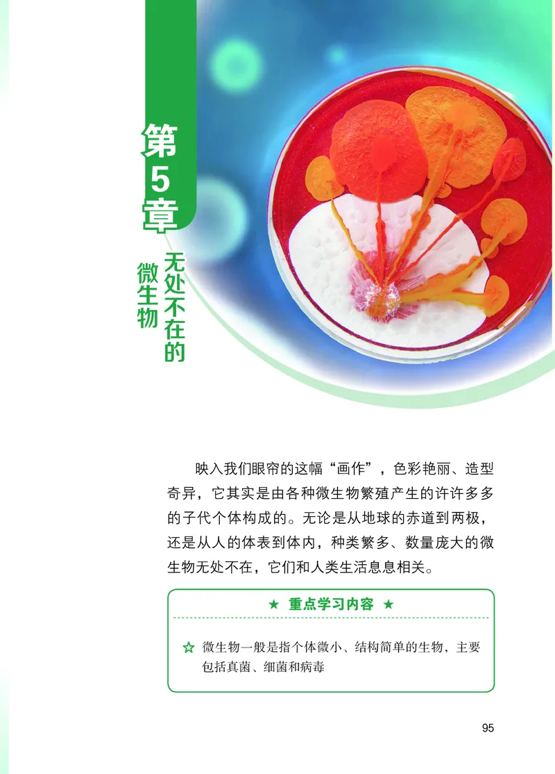 苏教版7年级生物上册高清教材_4-教培资料-26年最新资料-同步更新_初中高中教资_03科三专项（进去保存报考的学科即可）_02科三专项（笔记真题思维导图教学设计版本二）