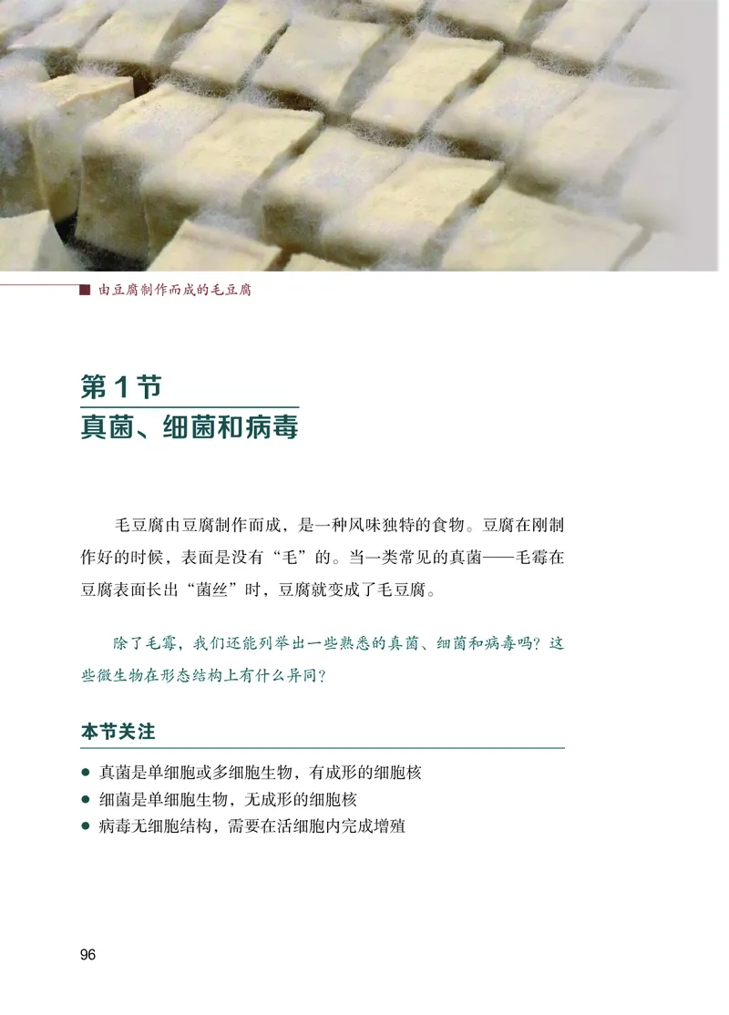 苏教版7年级生物上册高清教材_4-教培资料-26年最新资料-同步更新_初中高中教资_03科三专项（进去保存报考的学科即可）_02科三专项（笔记真题思维导图教学设计版本二）