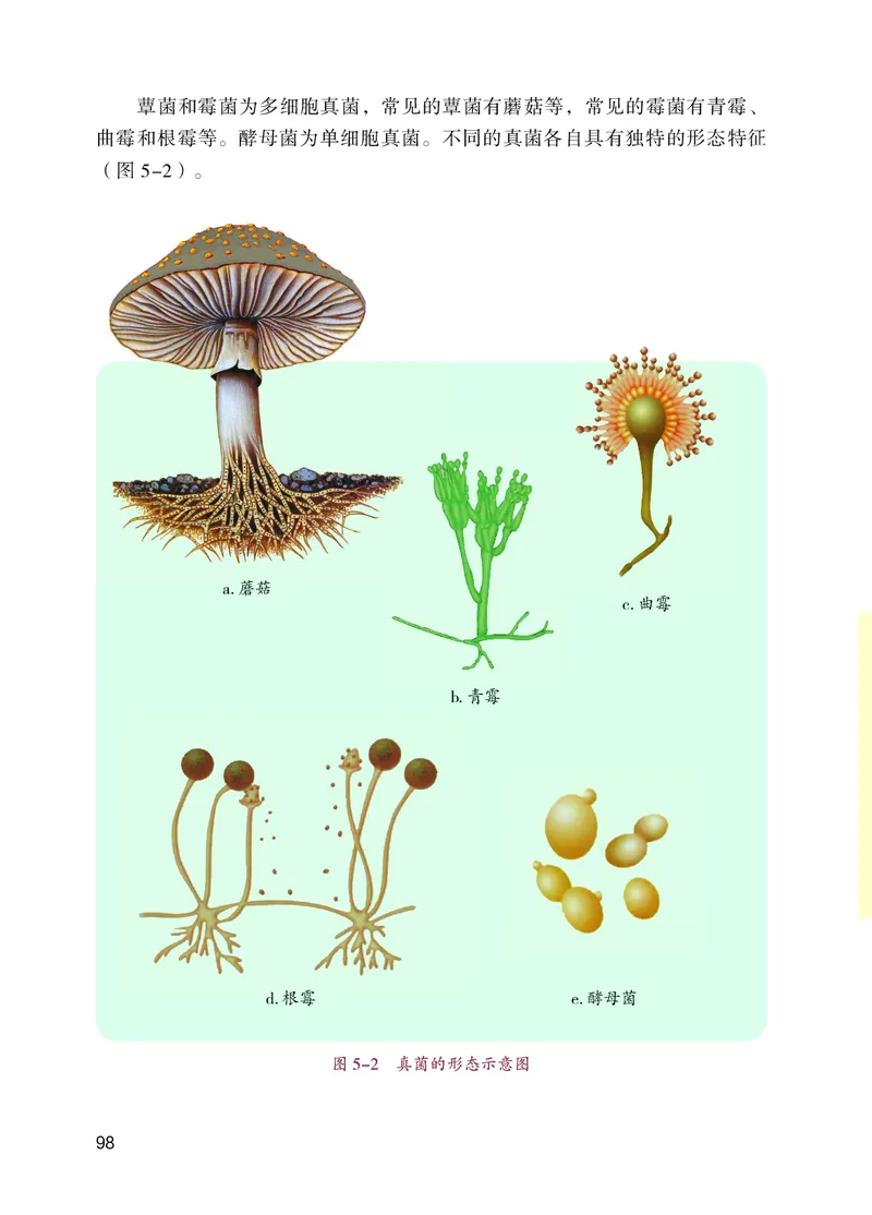 苏教版7年级生物上册高清教材_4-教培资料-26年最新资料-同步更新_初中高中教资_03科三专项（进去保存报考的学科即可）_02科三专项（笔记真题思维导图教学设计版本二）