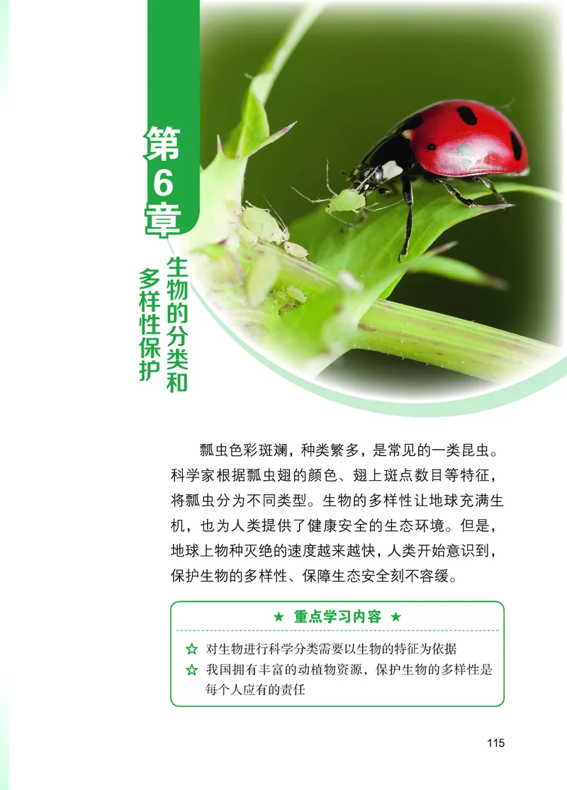 苏教版7年级生物上册高清教材_4-教培资料-26年最新资料-同步更新_初中高中教资_03科三专项（进去保存报考的学科即可）_02科三专项（笔记真题思维导图教学设计版本二）