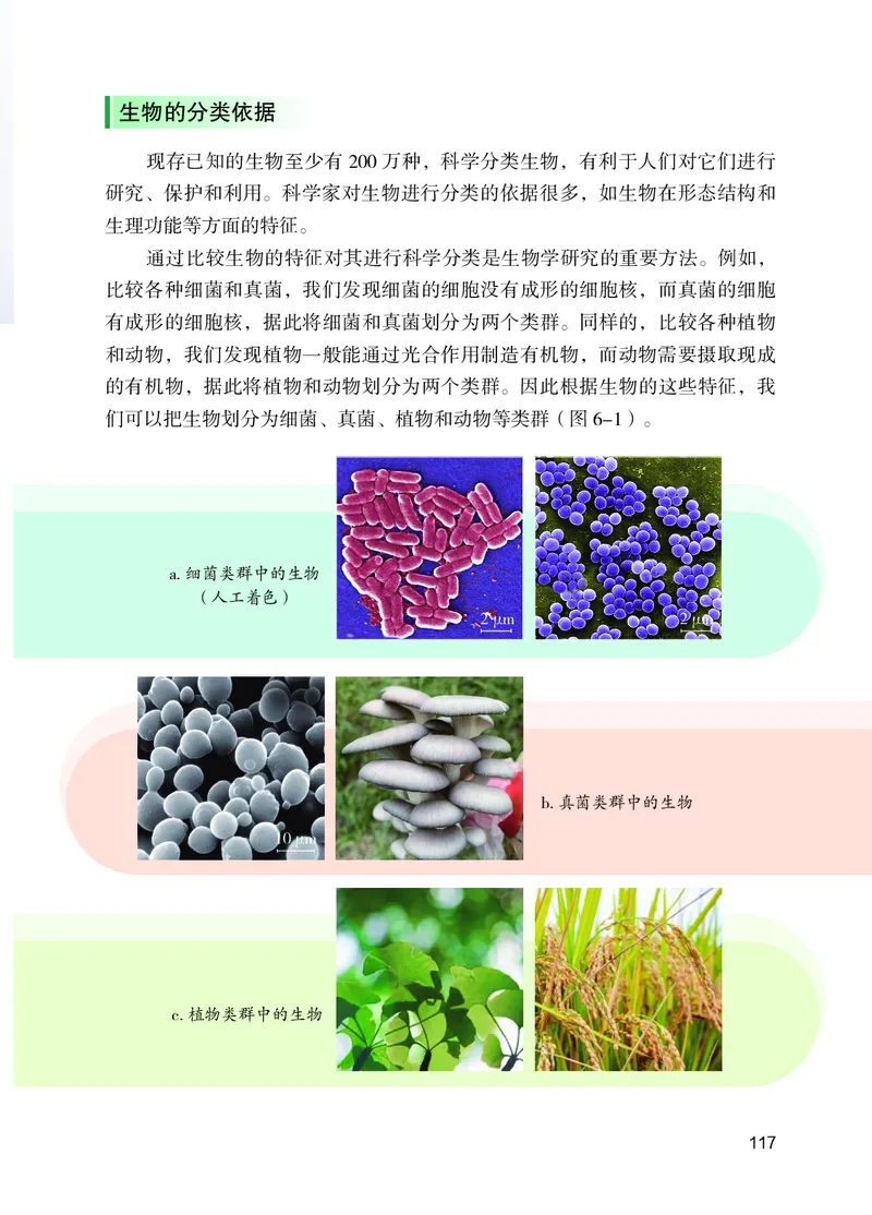 苏教版7年级生物上册高清教材_4-教培资料-26年最新资料-同步更新_初中高中教资_03科三专项（进去保存报考的学科即可）_02科三专项（笔记真题思维导图教学设计版本二）