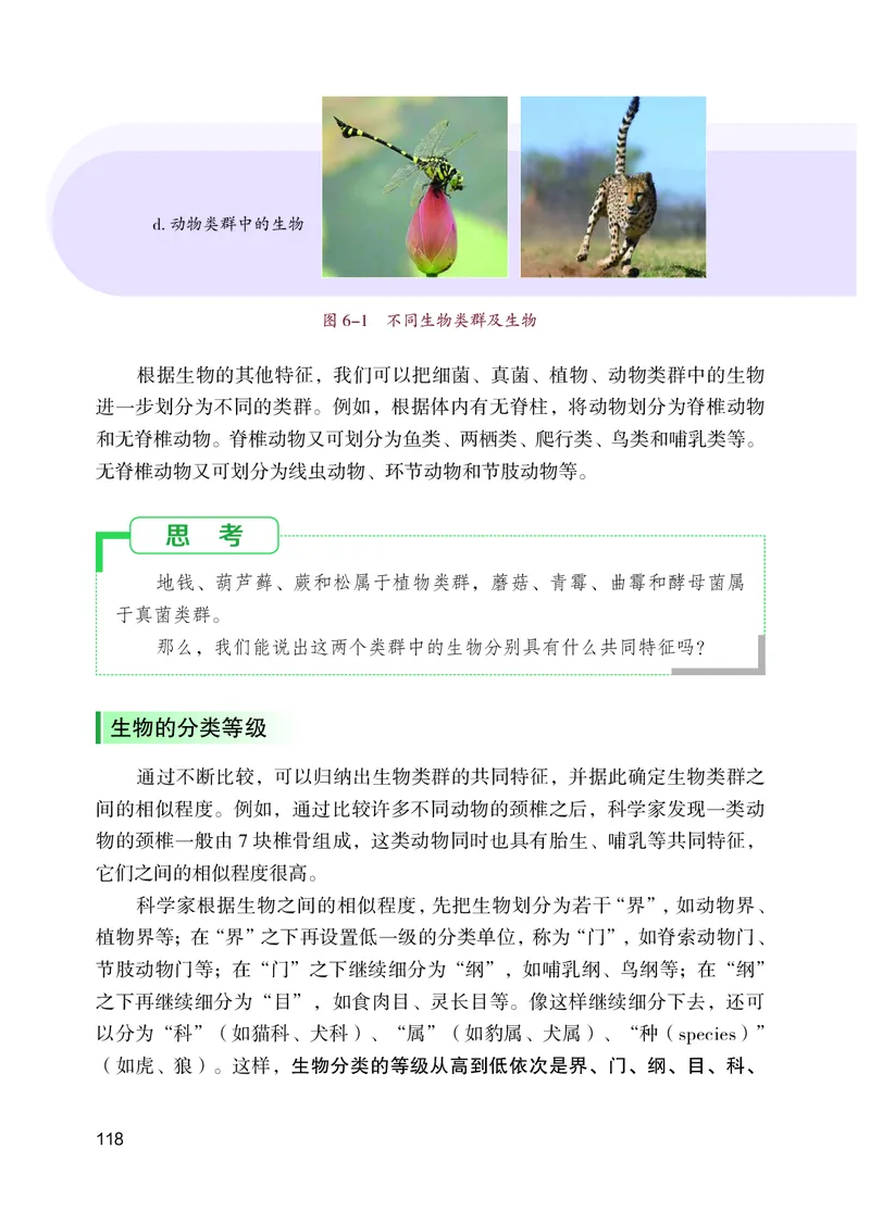 苏教版7年级生物上册高清教材_4-教培资料-26年最新资料-同步更新_初中高中教资_03科三专项（进去保存报考的学科即可）_02科三专项（笔记真题思维导图教学设计版本二）