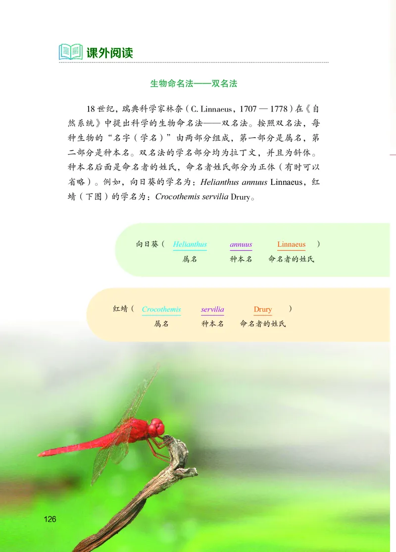 苏教版7年级生物上册高清教材_4-教培资料-26年最新资料-同步更新_初中高中教资_03科三专项（进去保存报考的学科即可）_02科三专项（笔记真题思维导图教学设计版本二）