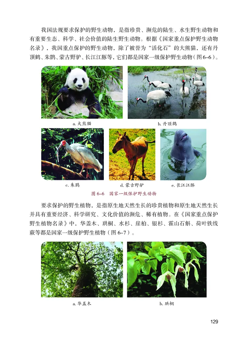 苏教版7年级生物上册高清教材_4-教培资料-26年最新资料-同步更新_初中高中教资_03科三专项（进去保存报考的学科即可）_02科三专项（笔记真题思维导图教学设计版本二）