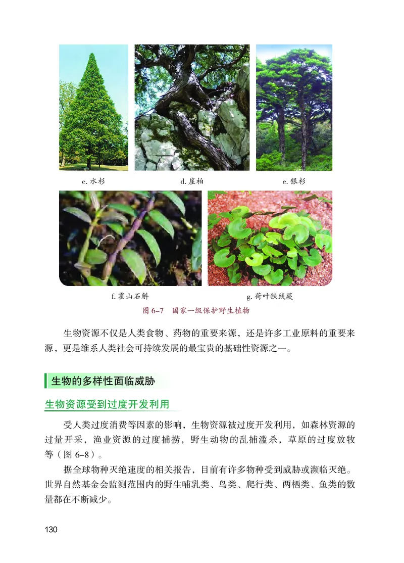 苏教版7年级生物上册高清教材_4-教培资料-26年最新资料-同步更新_初中高中教资_03科三专项（进去保存报考的学科即可）_02科三专项（笔记真题思维导图教学设计版本二）