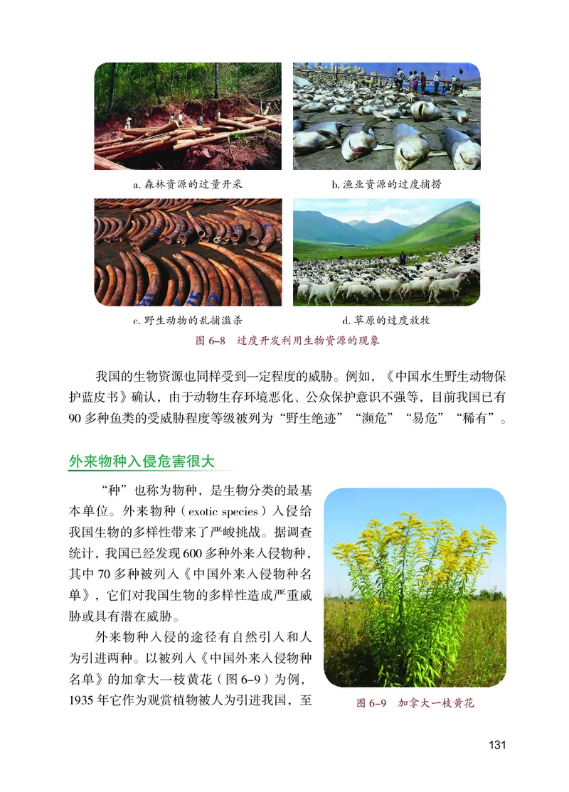 苏教版7年级生物上册高清教材_4-教培资料-26年最新资料-同步更新_初中高中教资_03科三专项（进去保存报考的学科即可）_02科三专项（笔记真题思维导图教学设计版本二）