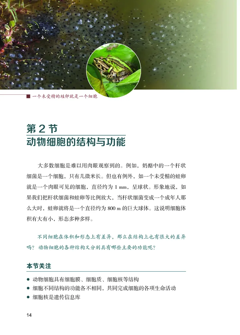 苏教版7年级生物上册高清教材_4-教培资料-26年最新资料-同步更新_初中高中教资_03科三专项（进去保存报考的学科即可）_02科三专项（笔记真题思维导图教学设计版本二）