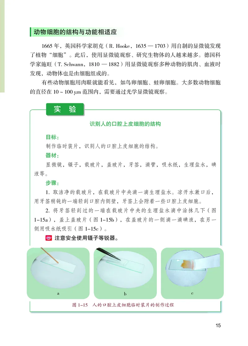 苏教版7年级生物上册高清教材_4-教培资料-26年最新资料-同步更新_初中高中教资_03科三专项（进去保存报考的学科即可）_02科三专项（笔记真题思维导图教学设计版本二）
