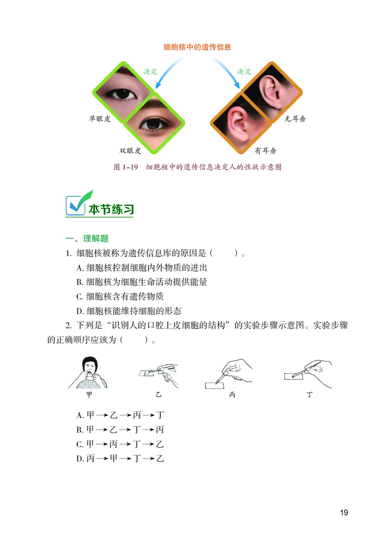 苏教版7年级生物上册高清教材_4-教培资料-26年最新资料-同步更新_初中高中教资_03科三专项（进去保存报考的学科即可）_02科三专项（笔记真题思维导图教学设计版本二）