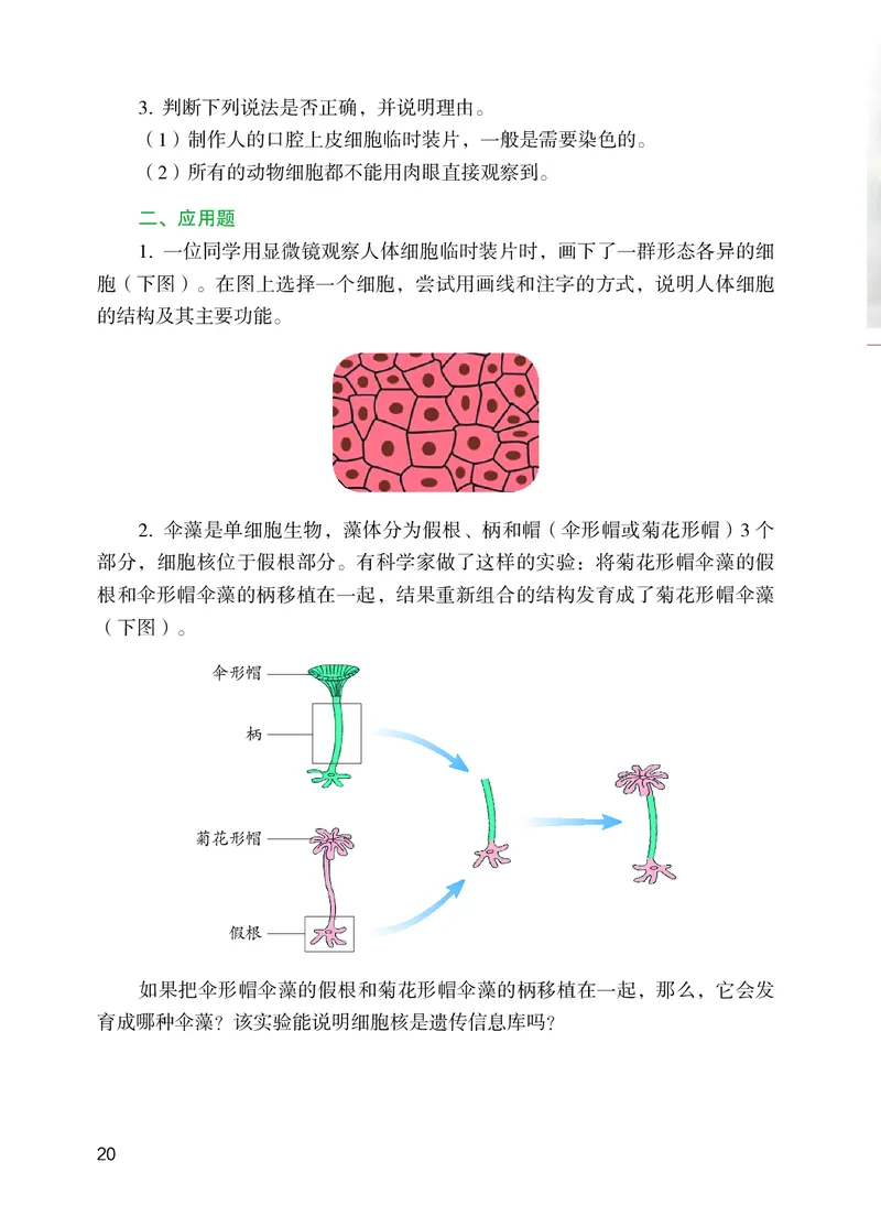 苏教版7年级生物上册高清教材_4-教培资料-26年最新资料-同步更新_初中高中教资_03科三专项（进去保存报考的学科即可）_02科三专项（笔记真题思维导图教学设计版本二）