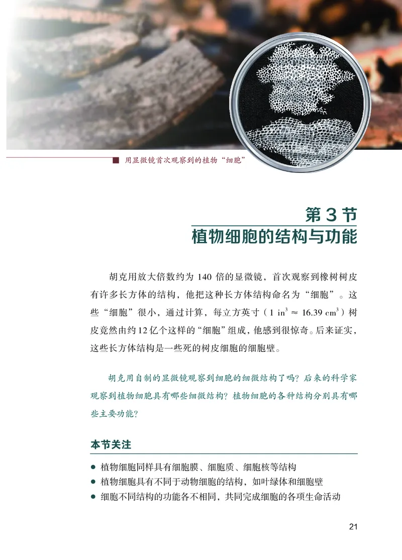 苏教版7年级生物上册高清教材_4-教培资料-26年最新资料-同步更新_初中高中教资_03科三专项（进去保存报考的学科即可）_02科三专项（笔记真题思维导图教学设计版本二）