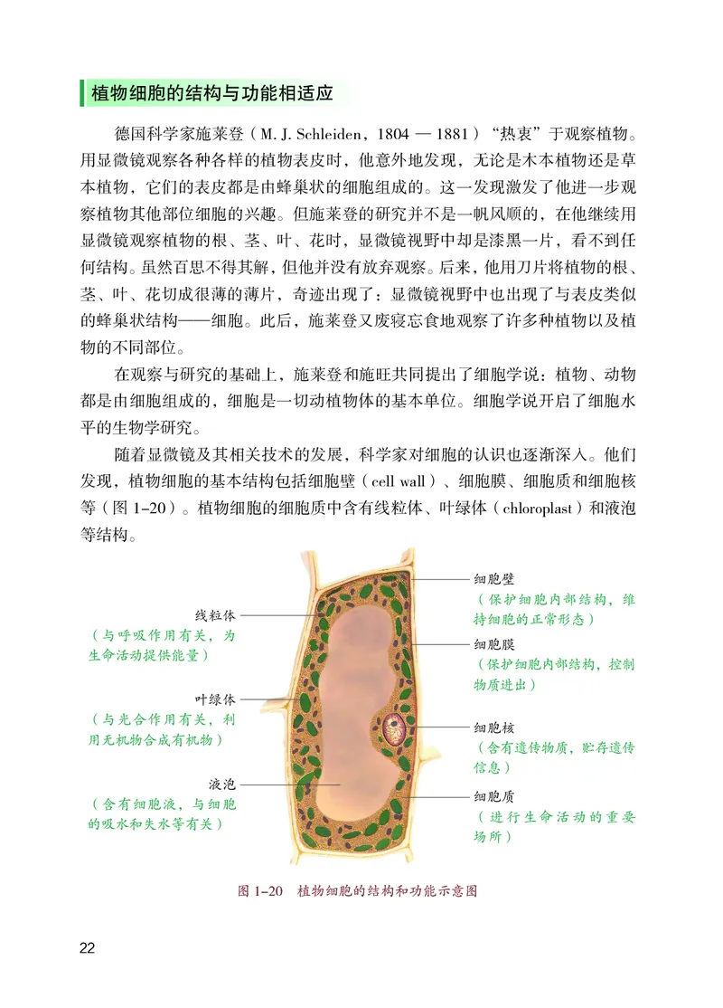 苏教版7年级生物上册高清教材_4-教培资料-26年最新资料-同步更新_初中高中教资_03科三专项（进去保存报考的学科即可）_02科三专项（笔记真题思维导图教学设计版本二）