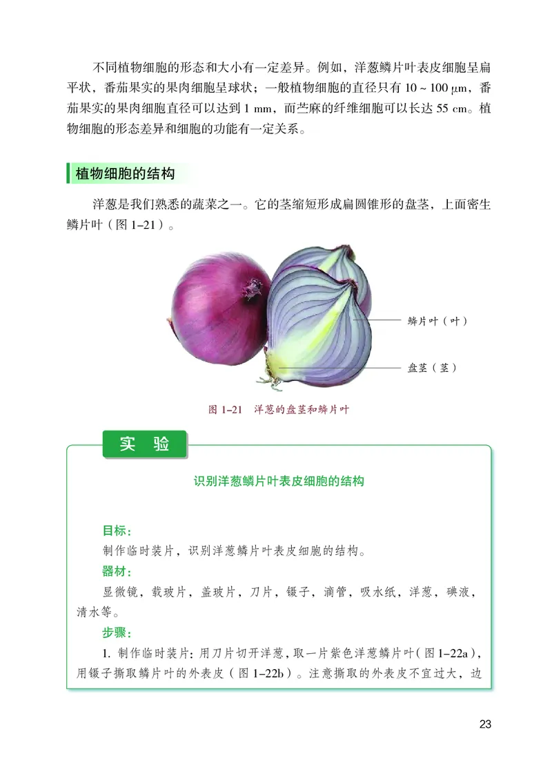 苏教版7年级生物上册高清教材_4-教培资料-26年最新资料-同步更新_初中高中教资_03科三专项（进去保存报考的学科即可）_02科三专项（笔记真题思维导图教学设计版本二）