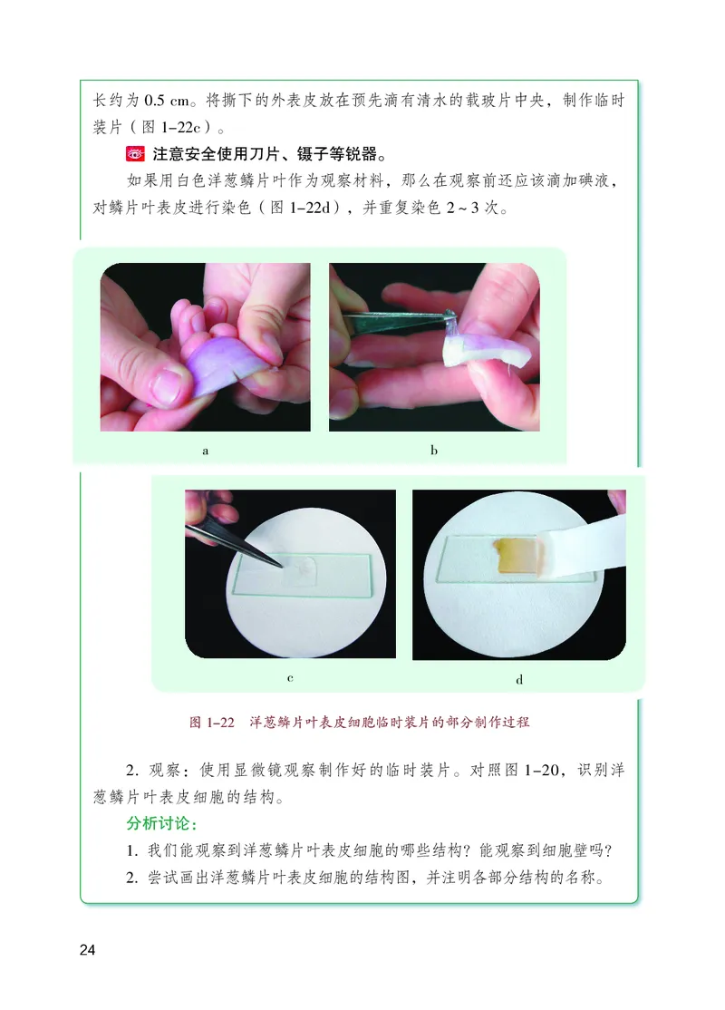 苏教版7年级生物上册高清教材_4-教培资料-26年最新资料-同步更新_初中高中教资_03科三专项（进去保存报考的学科即可）_02科三专项（笔记真题思维导图教学设计版本二）