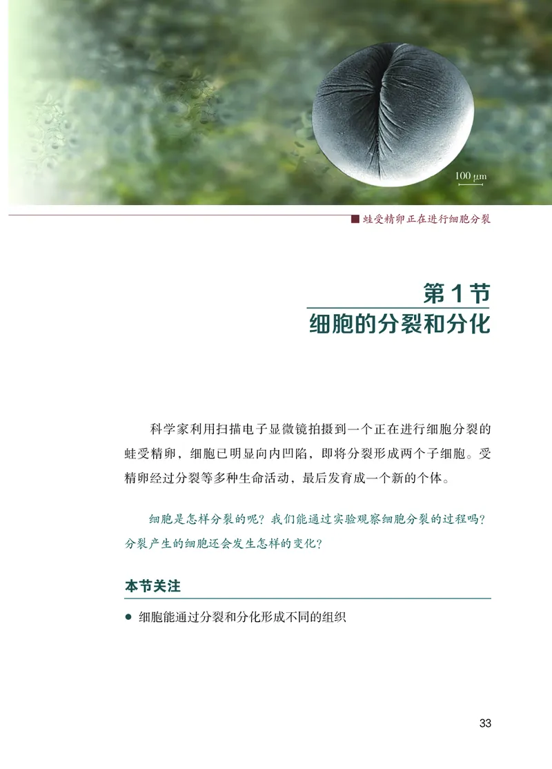 苏教版7年级生物上册高清教材_4-教培资料-26年最新资料-同步更新_初中高中教资_03科三专项（进去保存报考的学科即可）_02科三专项（笔记真题思维导图教学设计版本二）