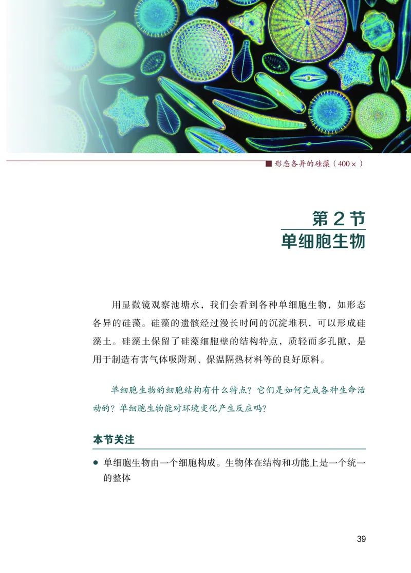 苏教版7年级生物上册高清教材_4-教培资料-26年最新资料-同步更新_初中高中教资_03科三专项（进去保存报考的学科即可）_02科三专项（笔记真题思维导图教学设计版本二）