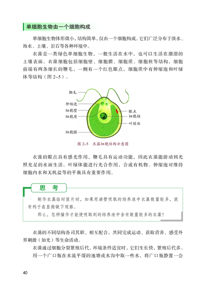苏教版7年级生物上册高清教材_4-教培资料-26年最新资料-同步更新_初中高中教资_03科三专项（进去保存报考的学科即可）_02科三专项（笔记真题思维导图教学设计版本二）