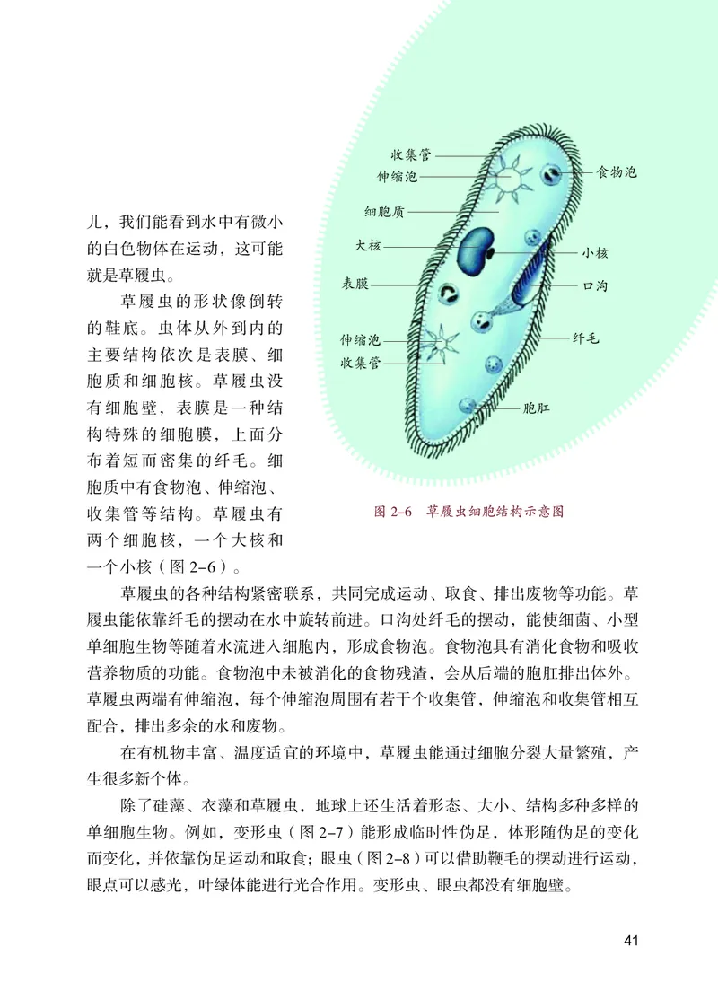 苏教版7年级生物上册高清教材_4-教培资料-26年最新资料-同步更新_初中高中教资_03科三专项（进去保存报考的学科即可）_02科三专项（笔记真题思维导图教学设计版本二）