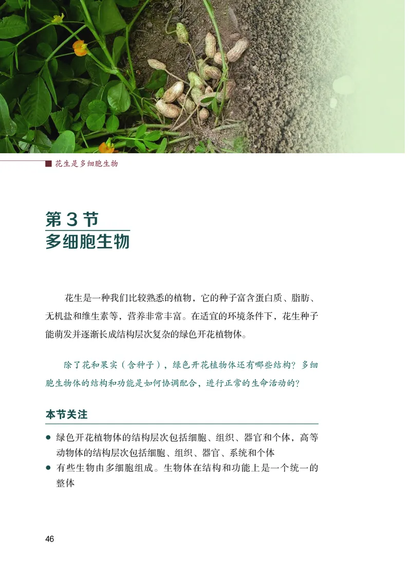 苏教版7年级生物上册高清教材_4-教培资料-26年最新资料-同步更新_初中高中教资_03科三专项（进去保存报考的学科即可）_02科三专项（笔记真题思维导图教学设计版本二）