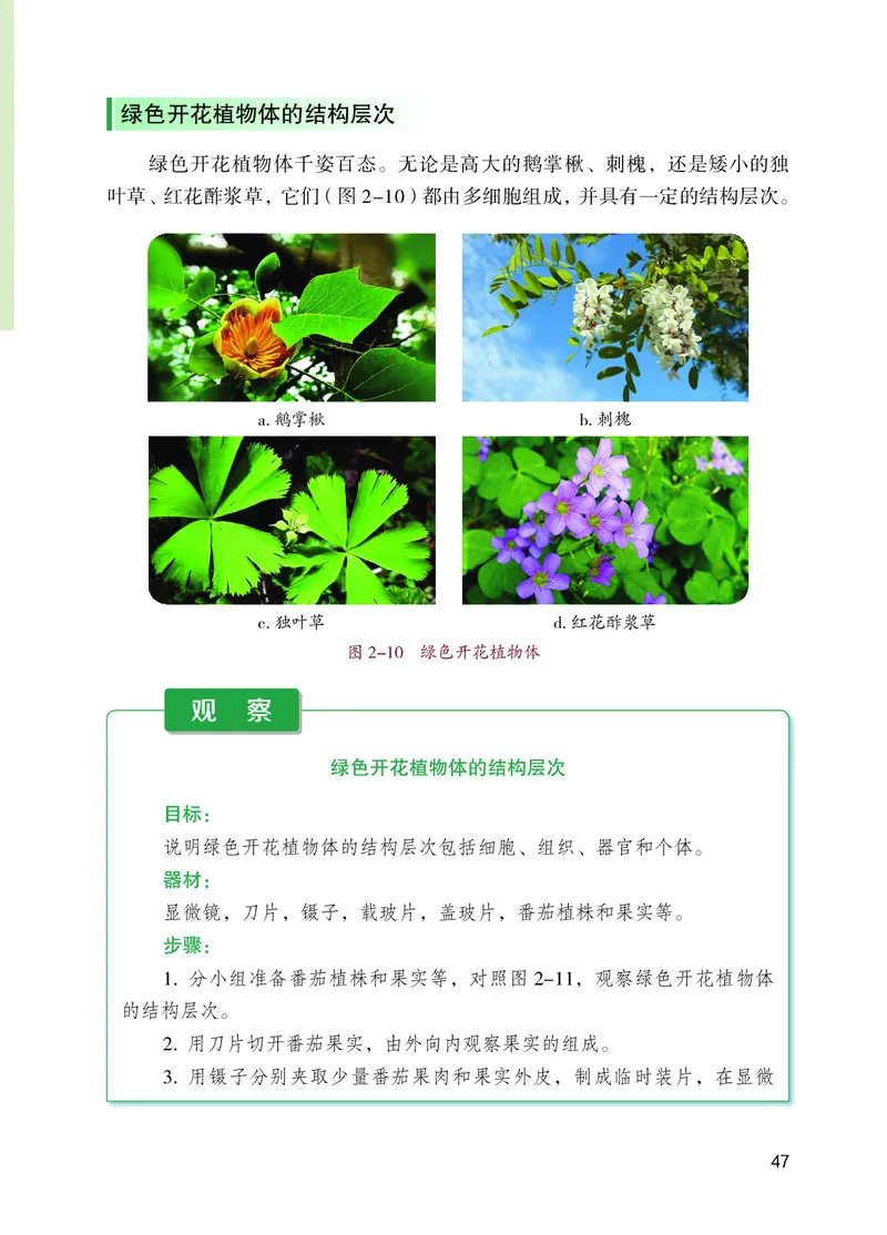 苏教版7年级生物上册高清教材_4-教培资料-26年最新资料-同步更新_初中高中教资_03科三专项（进去保存报考的学科即可）_02科三专项（笔记真题思维导图教学设计版本二）