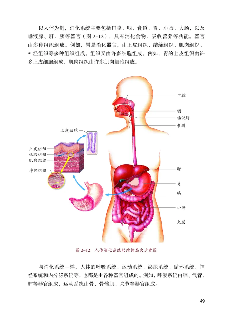 苏教版7年级生物上册高清教材_4-教培资料-26年最新资料-同步更新_初中高中教资_03科三专项（进去保存报考的学科即可）_02科三专项（笔记真题思维导图教学设计版本二）