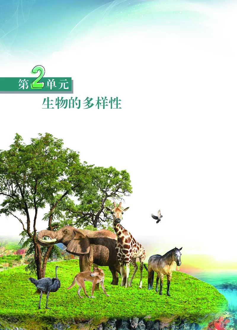 苏教版7年级生物上册高清教材_4-教培资料-26年最新资料-同步更新_初中高中教资_03科三专项（进去保存报考的学科即可）_02科三专项（笔记真题思维导图教学设计版本二）