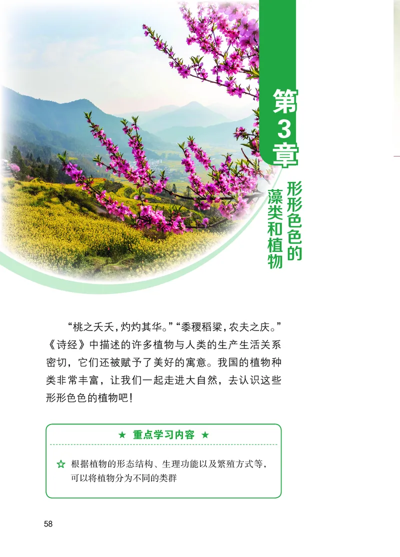 苏教版7年级生物上册高清教材_4-教培资料-26年最新资料-同步更新_初中高中教资_03科三专项（进去保存报考的学科即可）_02科三专项（笔记真题思维导图教学设计版本二）