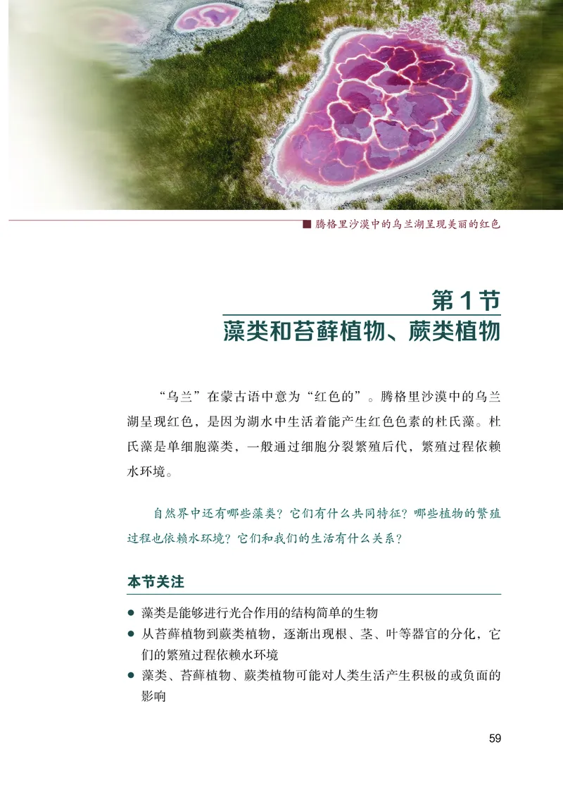 苏教版7年级生物上册高清教材_4-教培资料-26年最新资料-同步更新_初中高中教资_03科三专项（进去保存报考的学科即可）_02科三专项（笔记真题思维导图教学设计版本二）