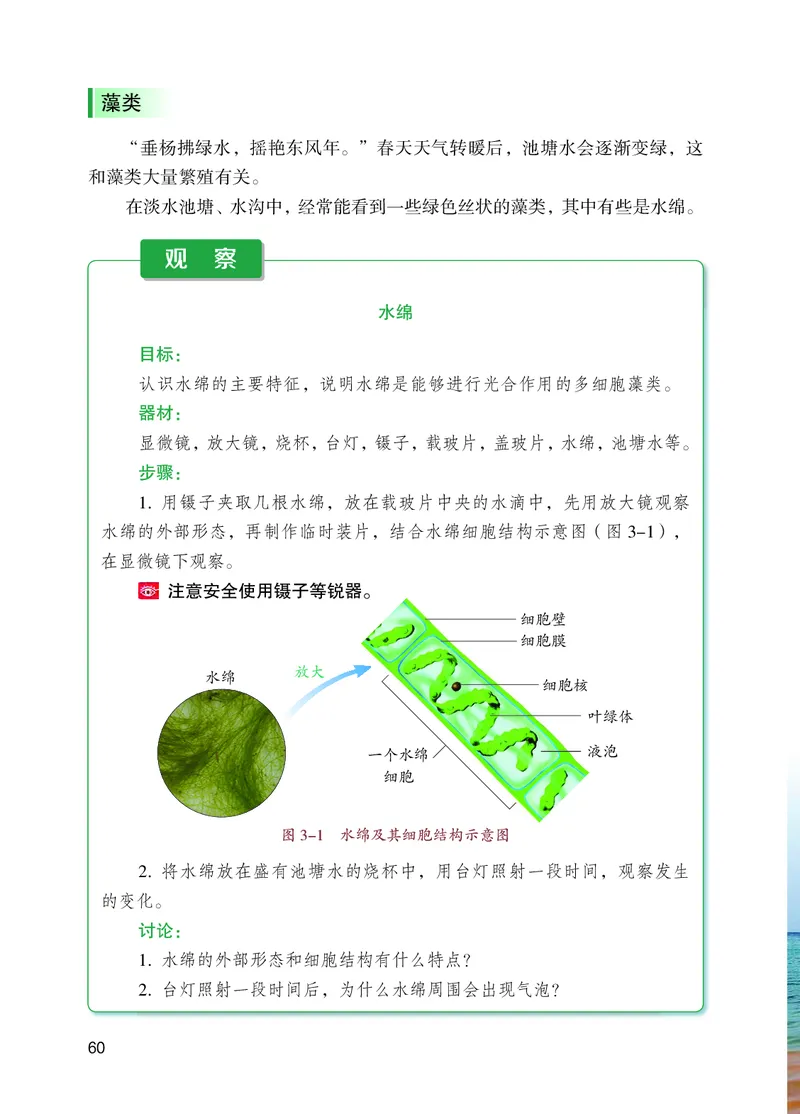 苏教版7年级生物上册高清教材_4-教培资料-26年最新资料-同步更新_初中高中教资_03科三专项（进去保存报考的学科即可）_02科三专项（笔记真题思维导图教学设计版本二）