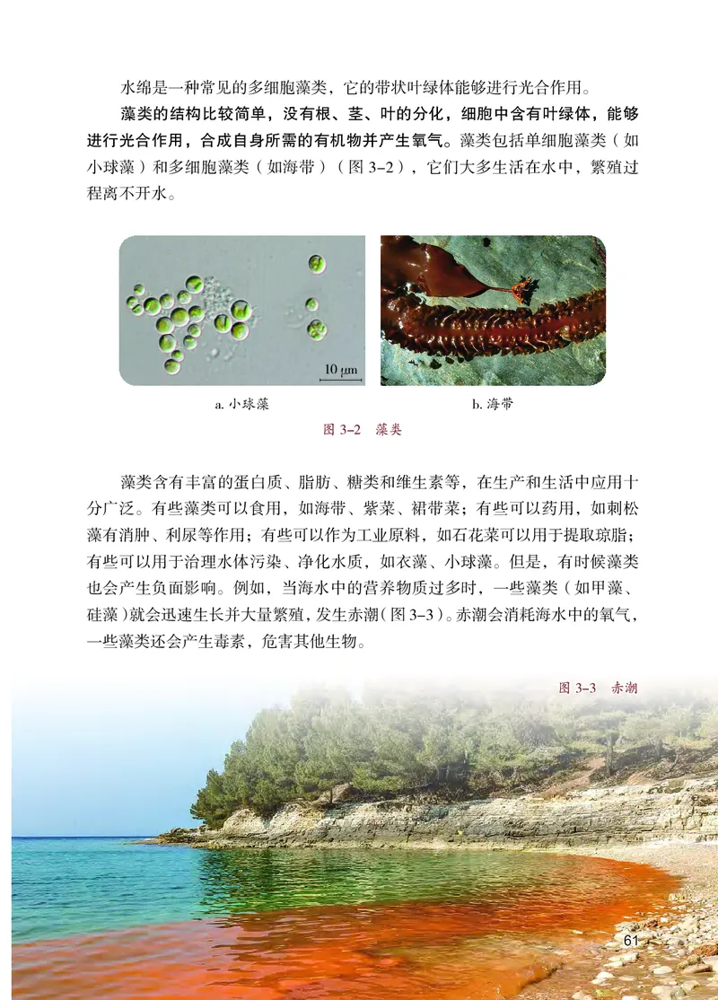 苏教版7年级生物上册高清教材_4-教培资料-26年最新资料-同步更新_初中高中教资_03科三专项（进去保存报考的学科即可）_02科三专项（笔记真题思维导图教学设计版本二）