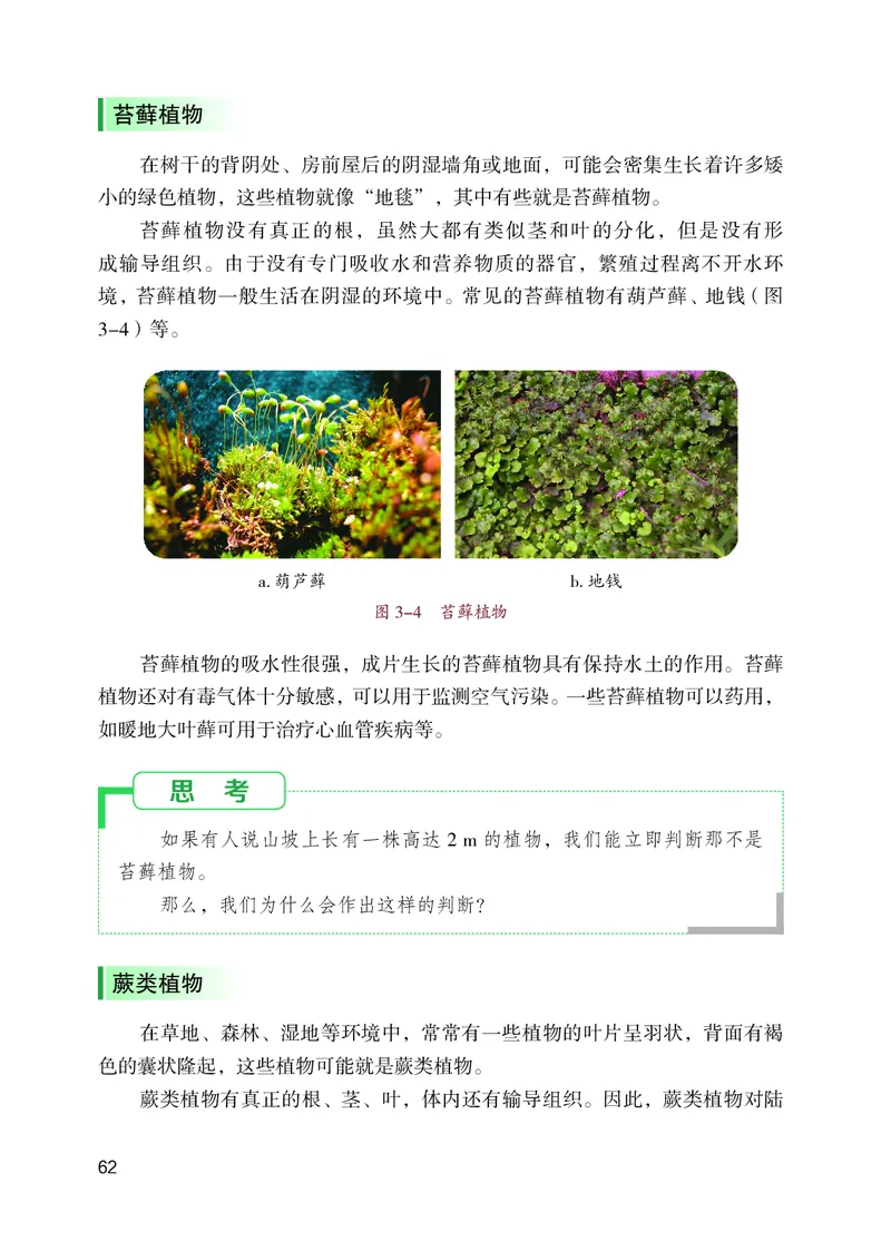 苏教版7年级生物上册高清教材_4-教培资料-26年最新资料-同步更新_初中高中教资_03科三专项（进去保存报考的学科即可）_02科三专项（笔记真题思维导图教学设计版本二）