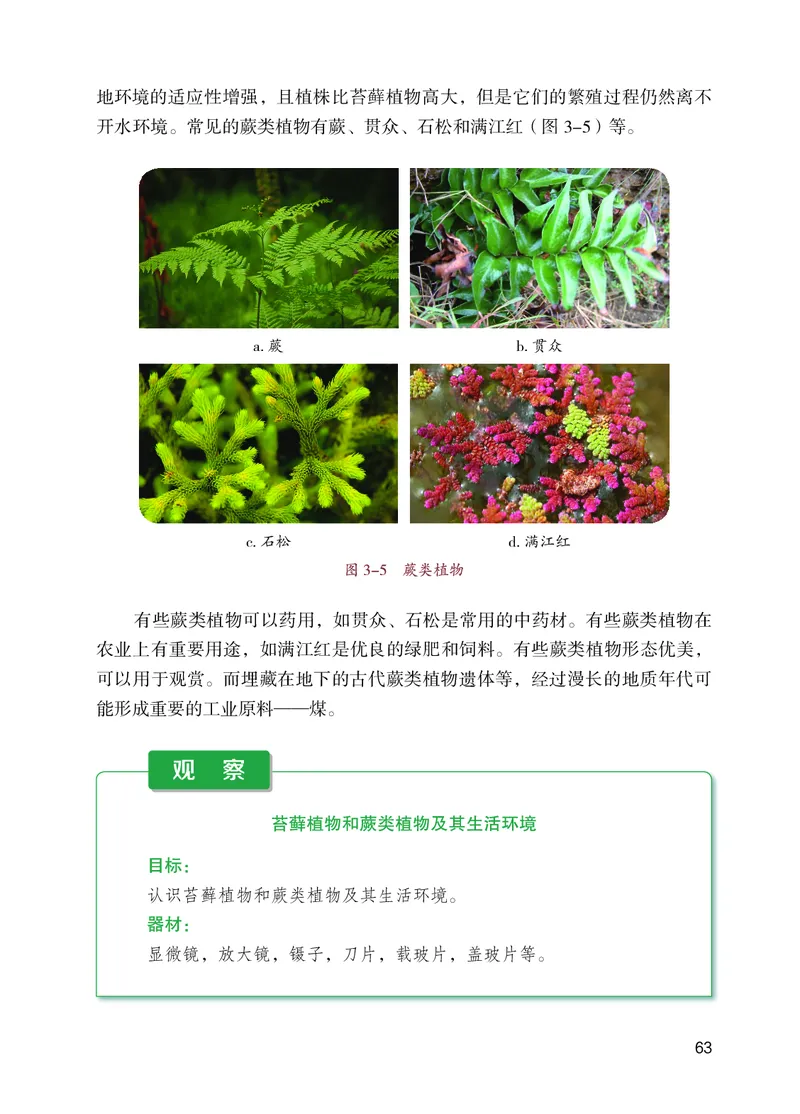 苏教版7年级生物上册高清教材_4-教培资料-26年最新资料-同步更新_初中高中教资_03科三专项（进去保存报考的学科即可）_02科三专项（笔记真题思维导图教学设计版本二）